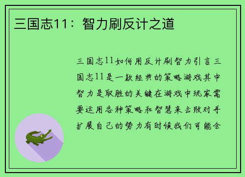三国志11：智力刷反计之道